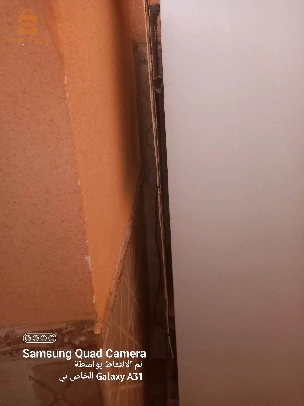 جامعة ولاية المغير