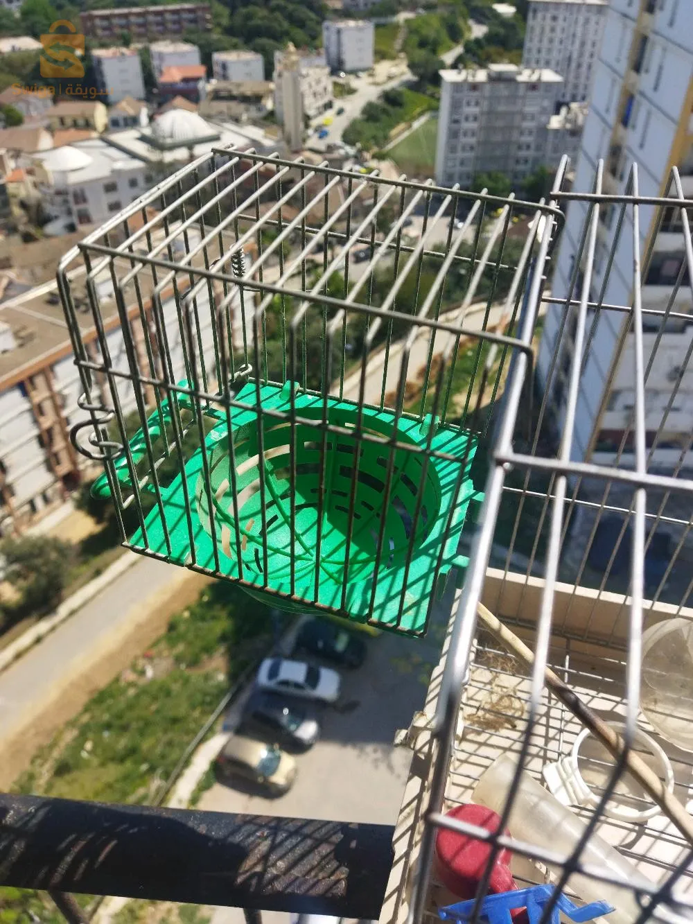 cage pour couple occasion