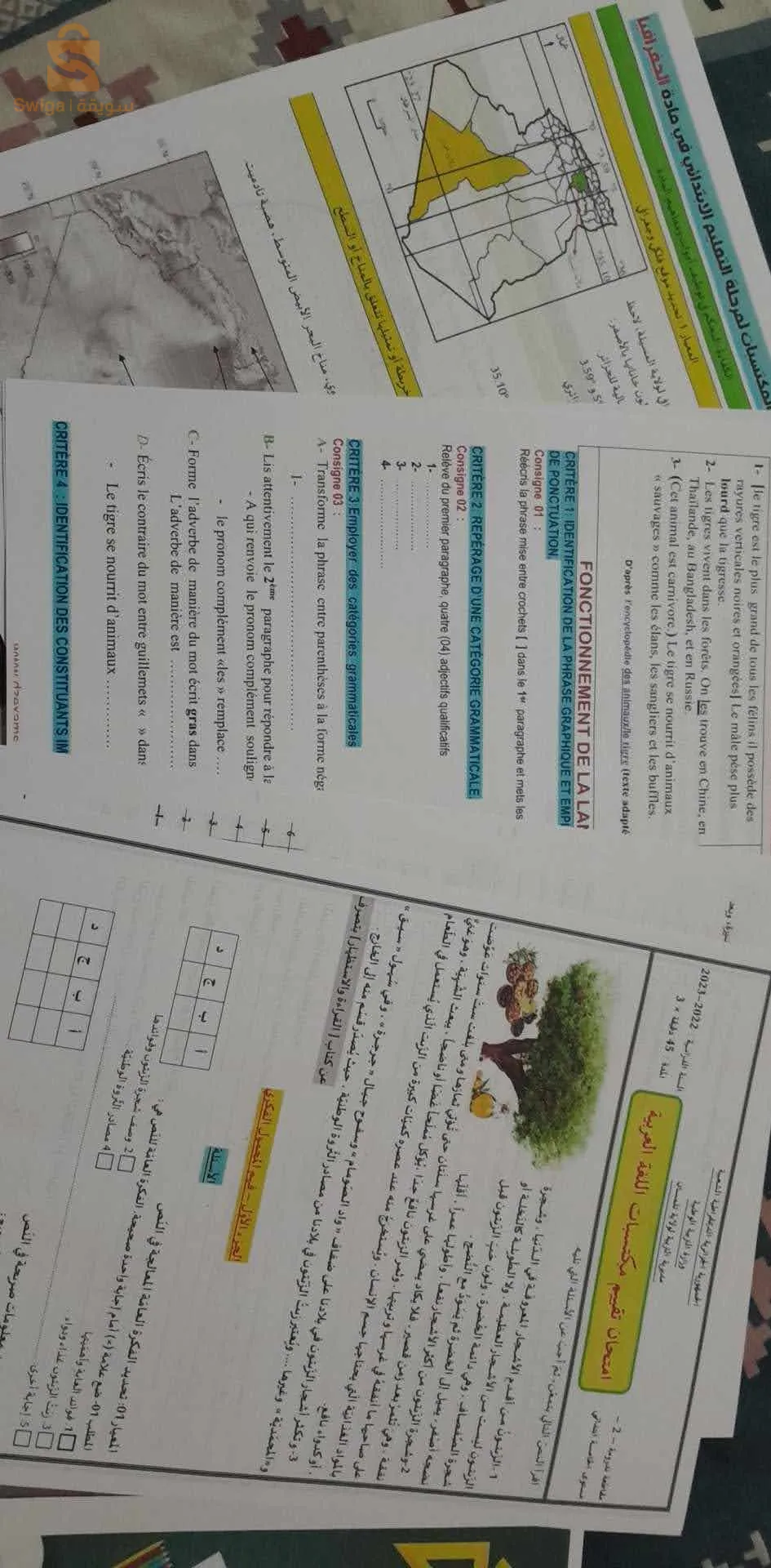 دورات BAC et BEM