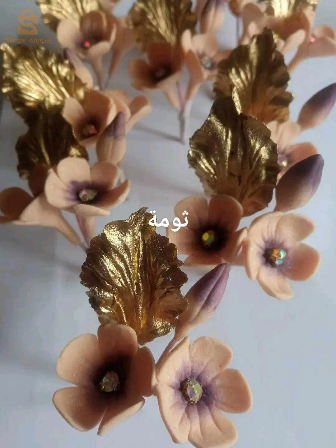 البليدة