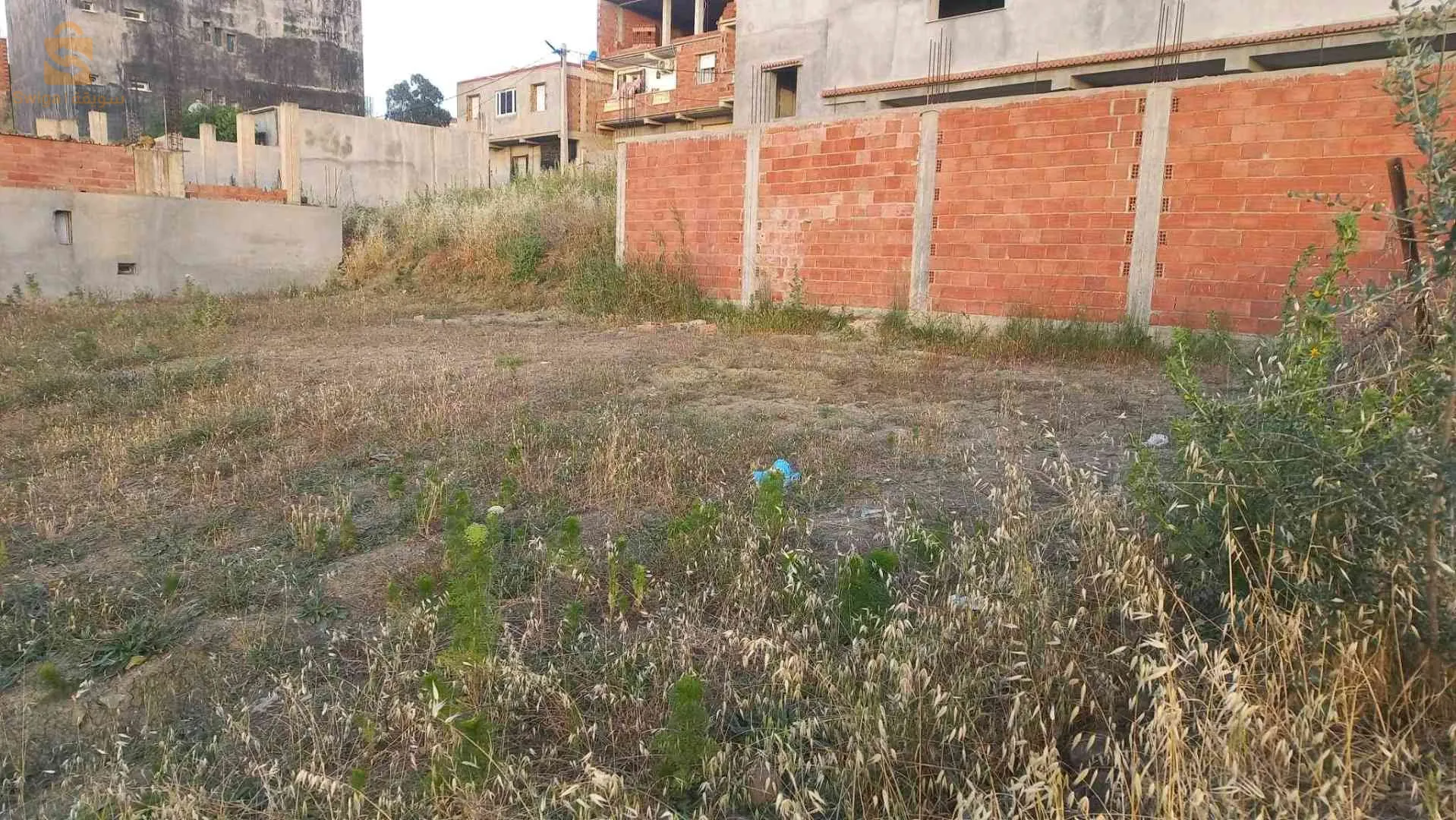 حي معروفة الاربعطاش