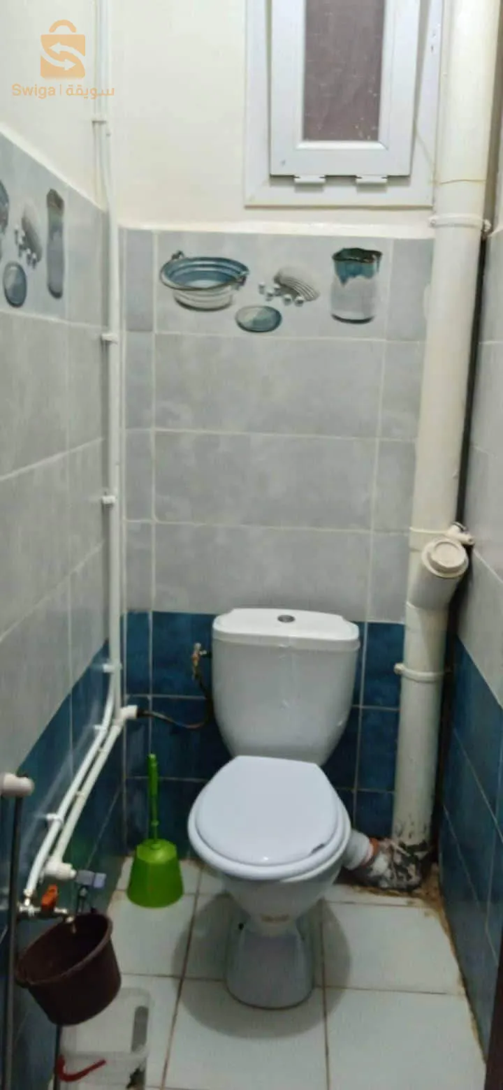 عشعاشة مستغانم