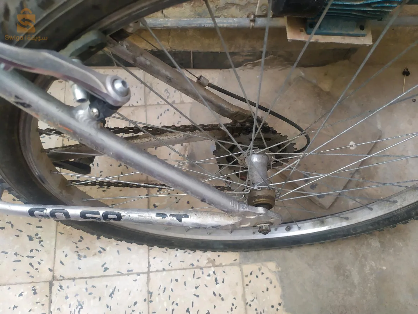 القنطرة -بسكرة-