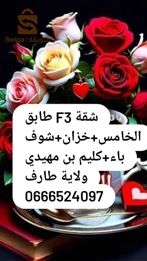 وسيط عقاري شط