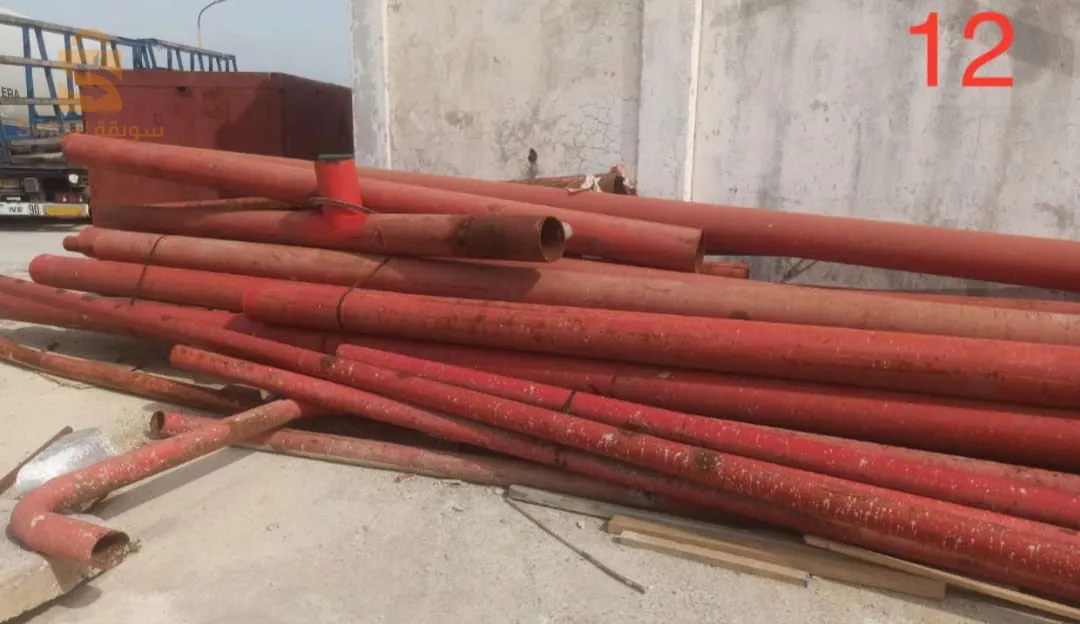 kaliptus baraki Alger