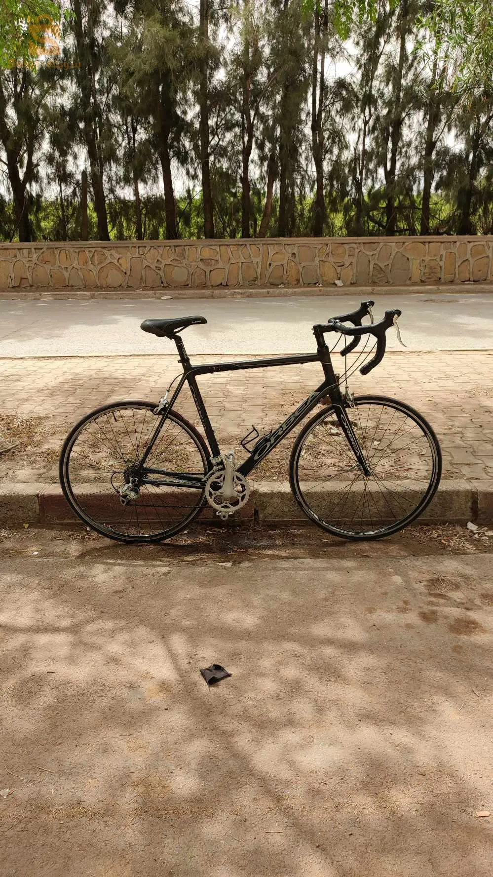vélo cours ORBEA taille 55 56 L XL bon état fiha martial chimano Sora 9 vitesse vélo makhasha Walo lahi. arak