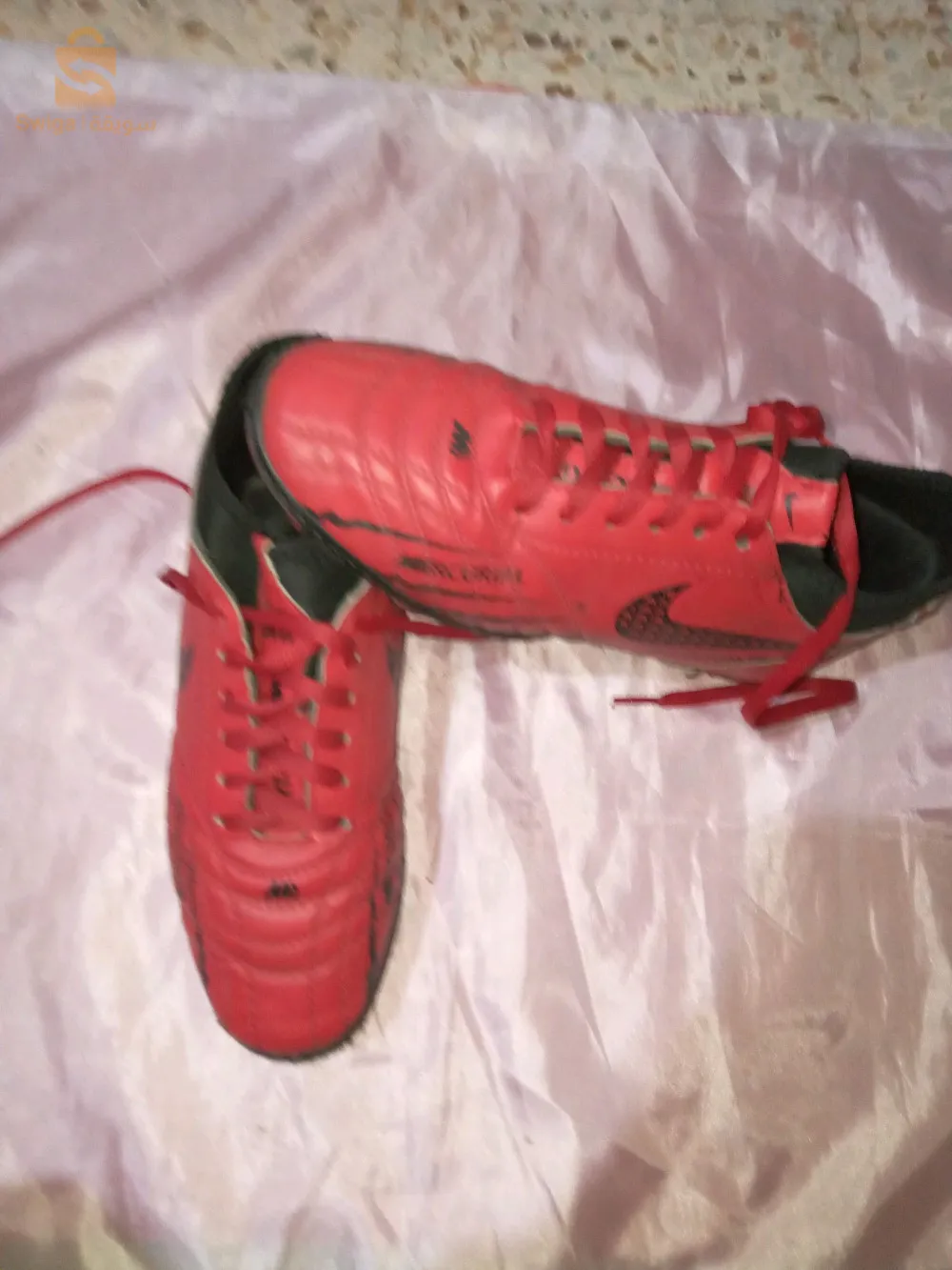 عين النعجة صفصافة