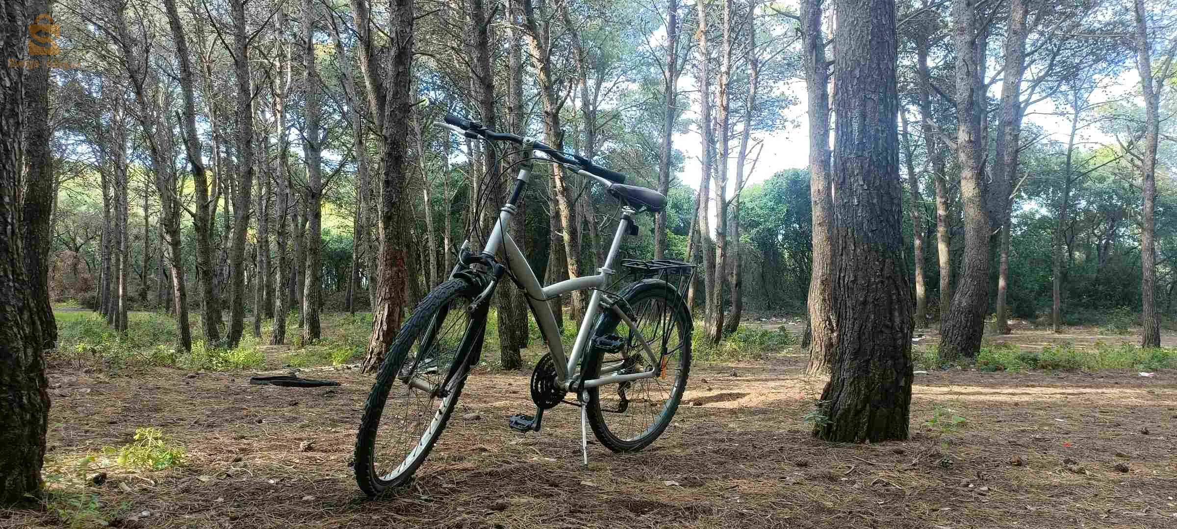 بيتوين 5 اوريجينال