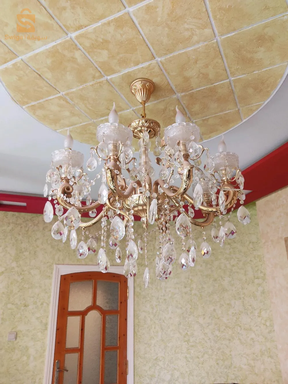 ليستر ذهبي ، كبير نوع ما .