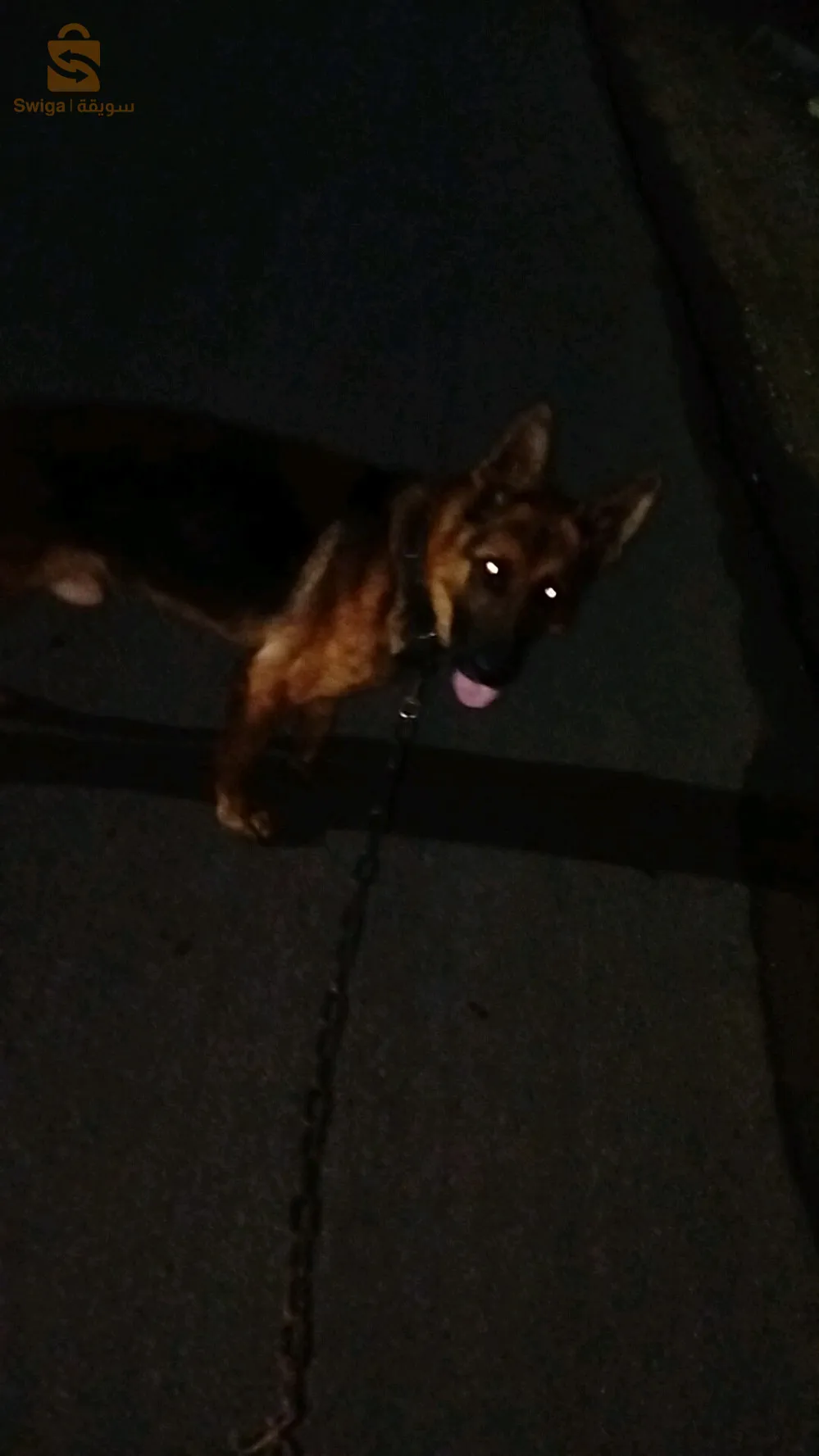 مال بارجي المو 0666632426