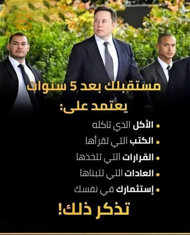 شركة نيو فيزيون انترناسيونال