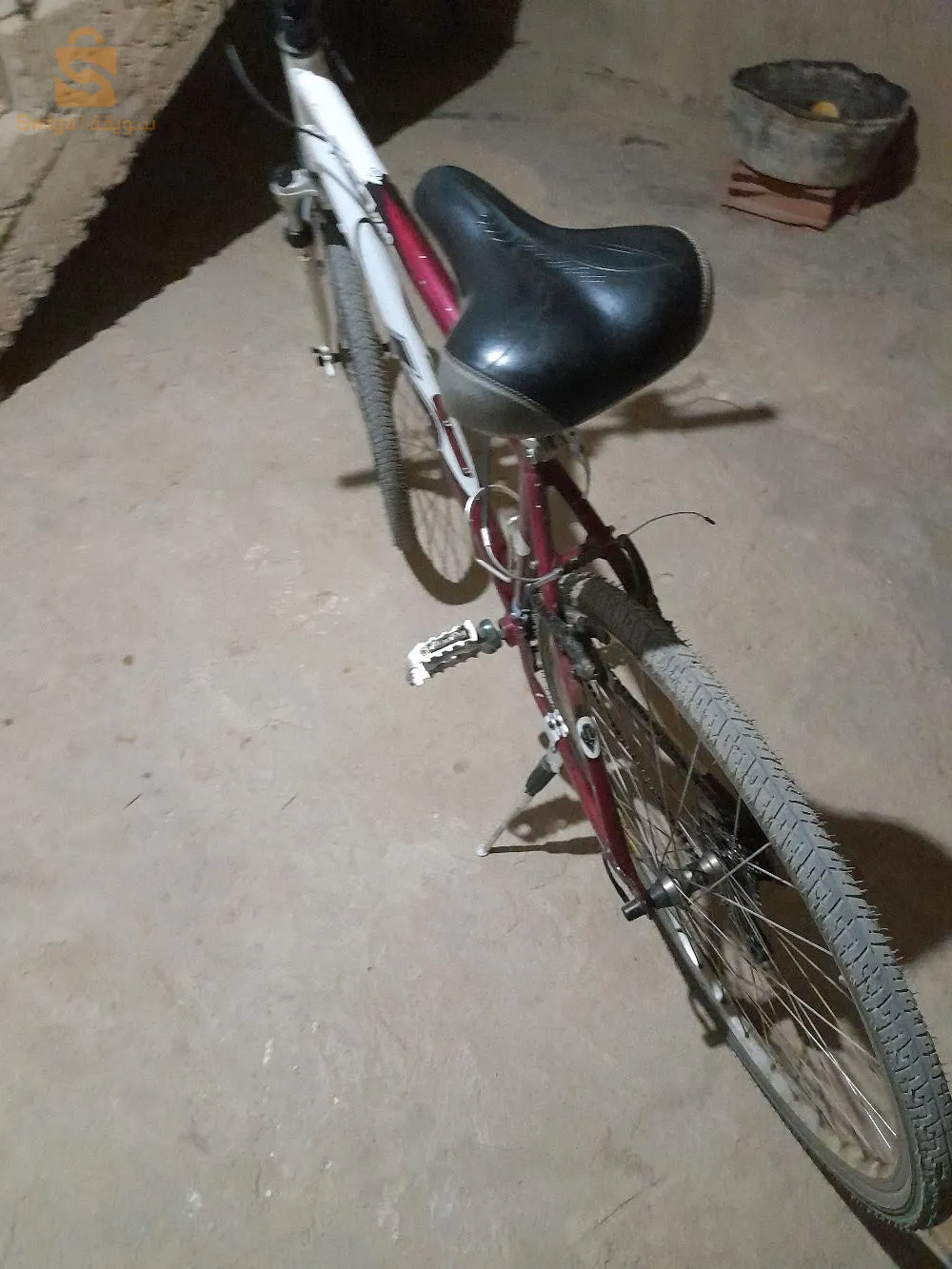 الحسنية شلف