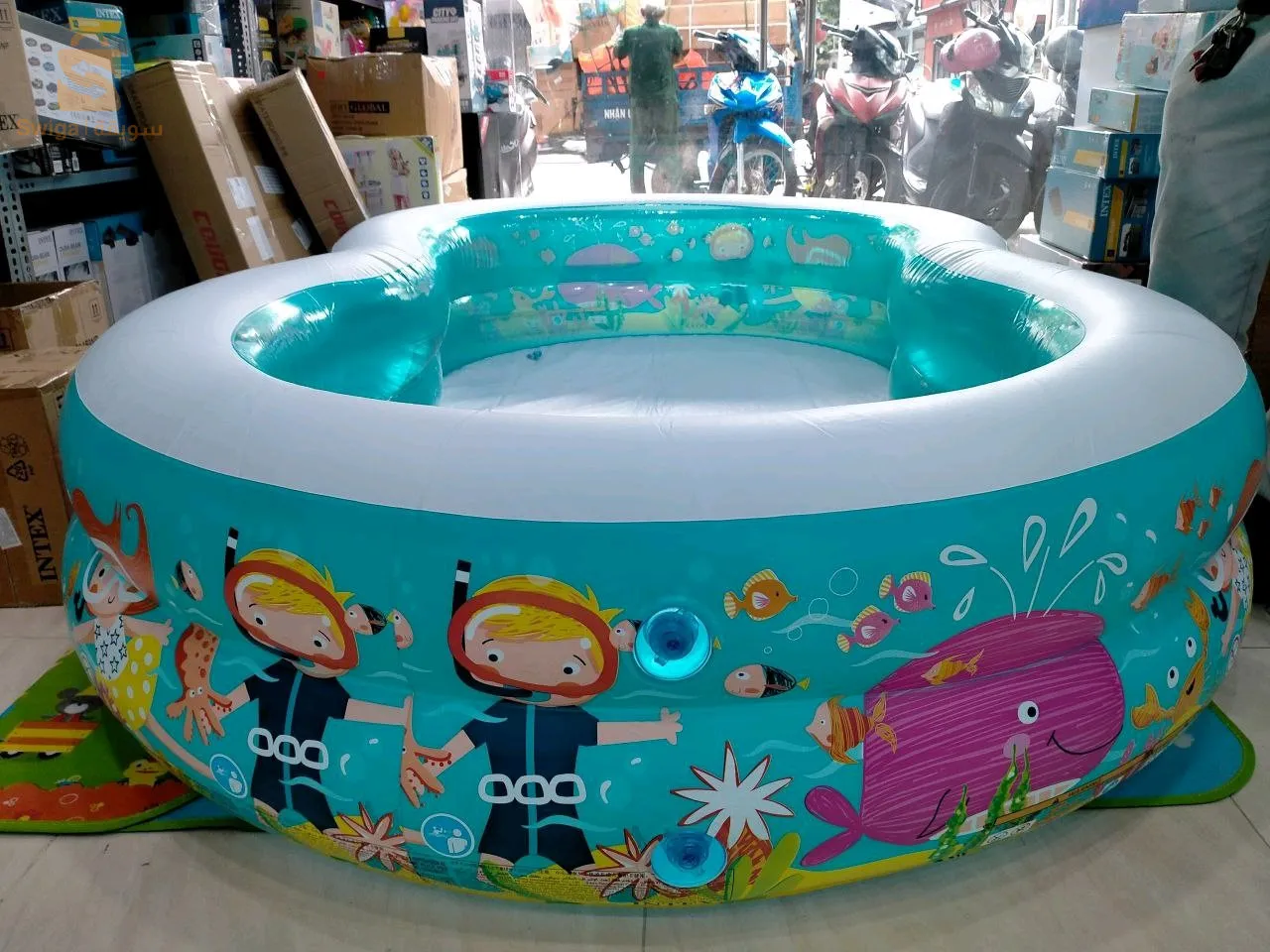 piscine intex