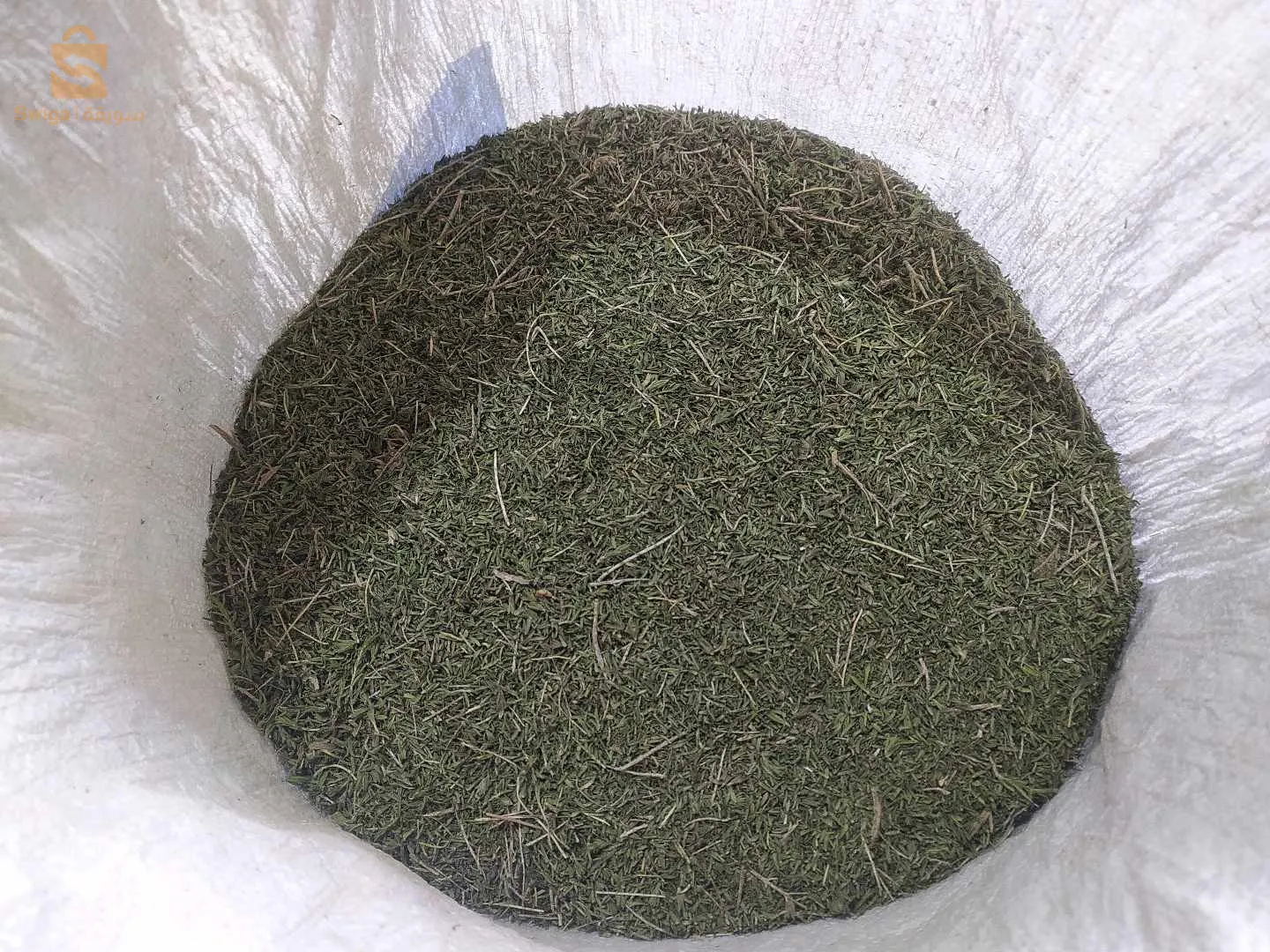 زعيترة جديدة  سلعة مشاء الله