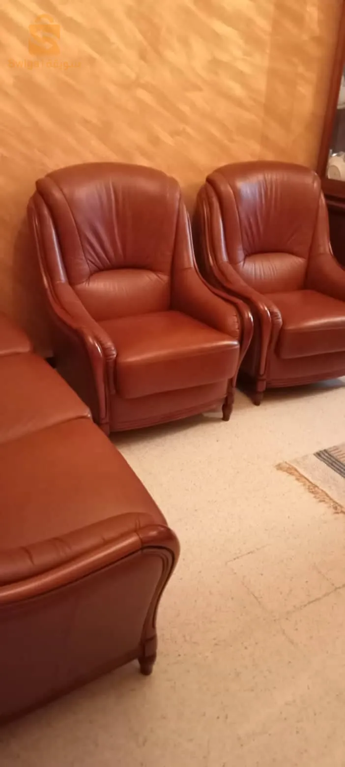 صالون بجلد و خشب  الزان