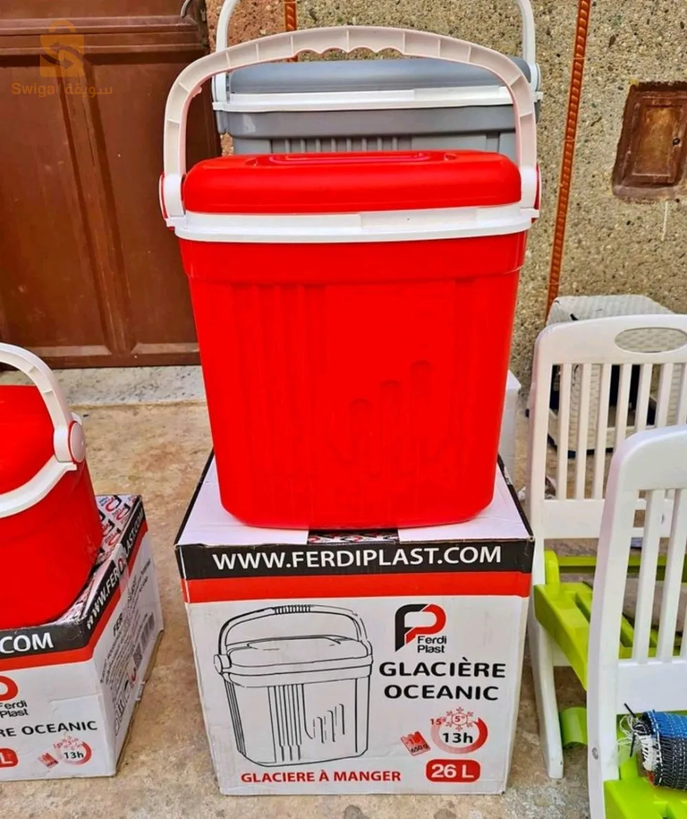 Glacière ferdi plast 26L