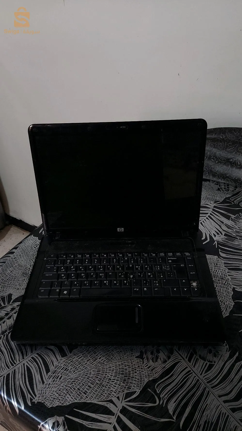 سطيف
