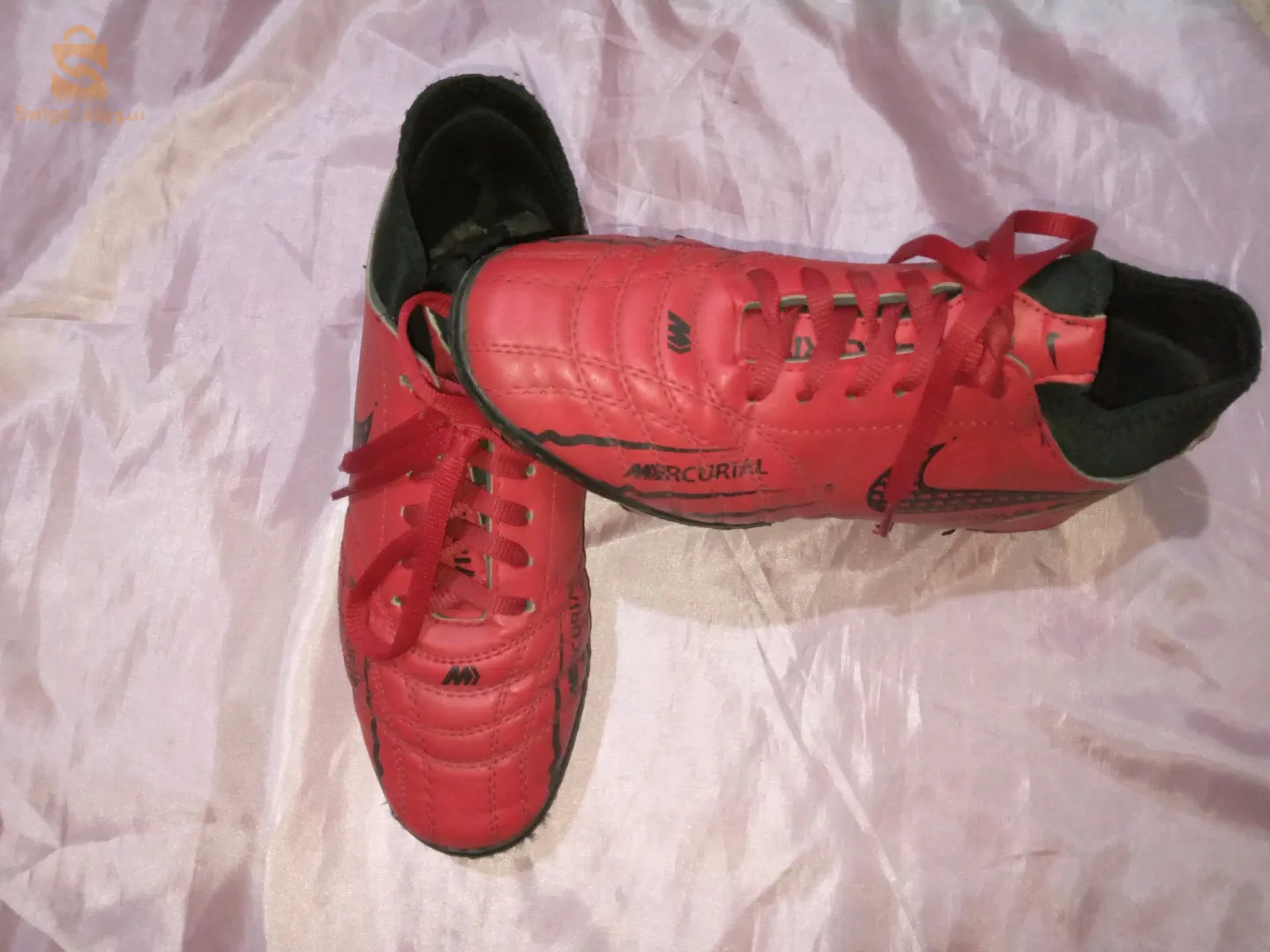 عين النعجة صفصافة