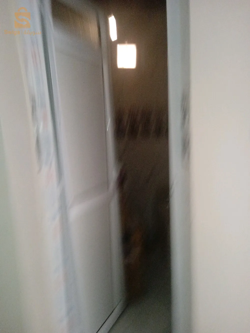 تيبازة