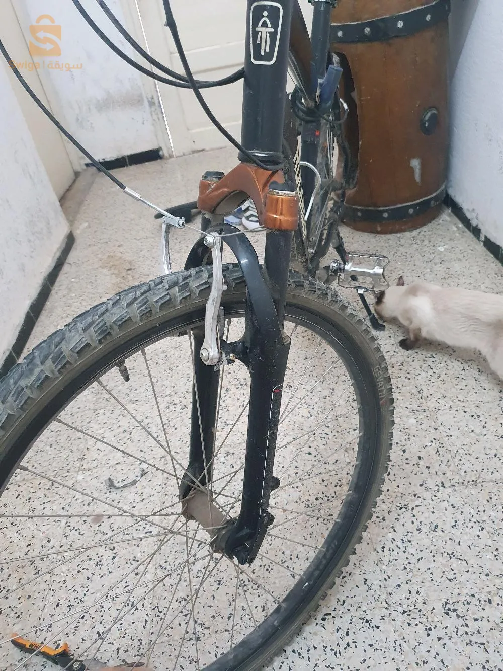 دراجة هوائية