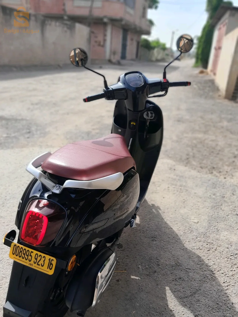 panariya 
vms