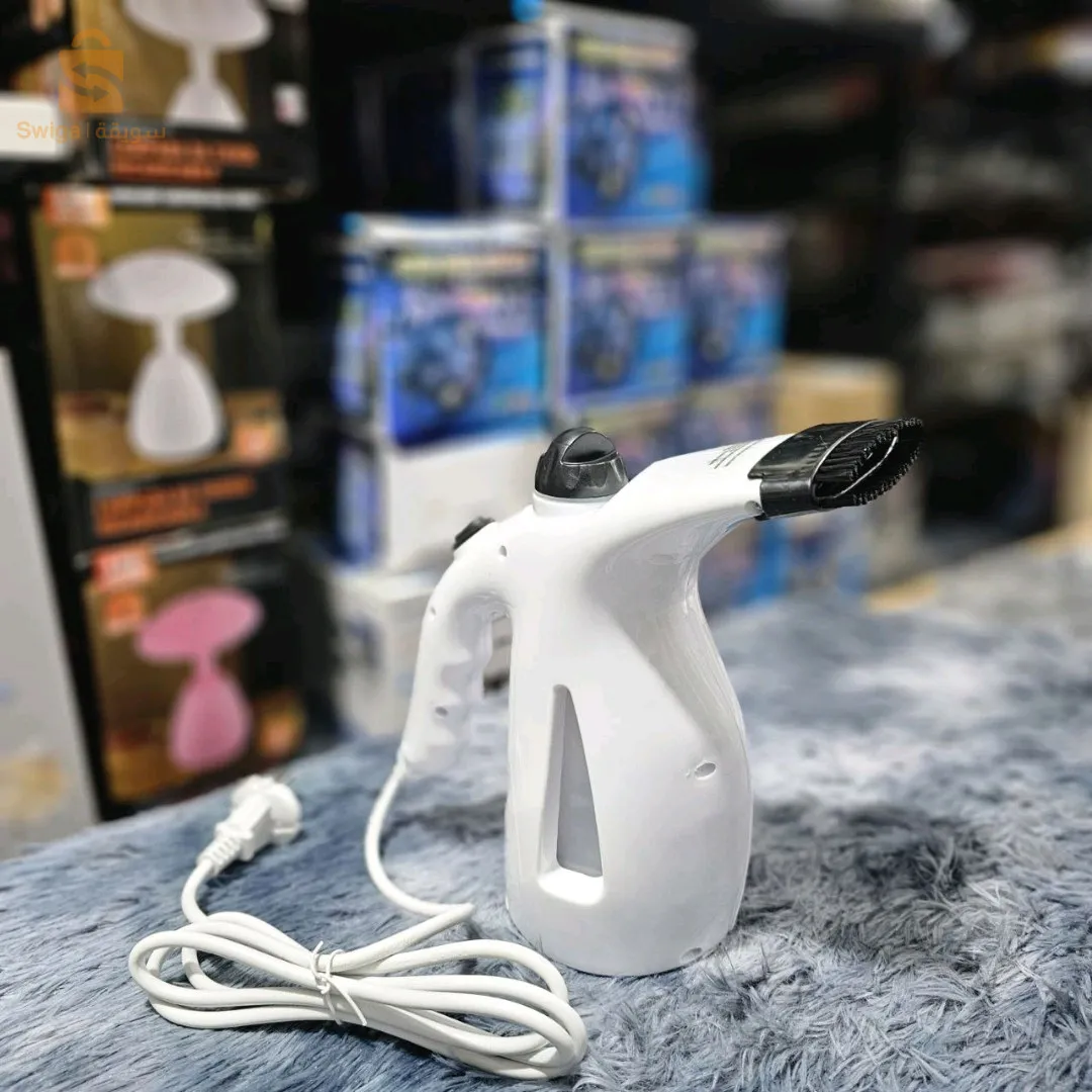 Fer à vapeur 2en1 Rz-608