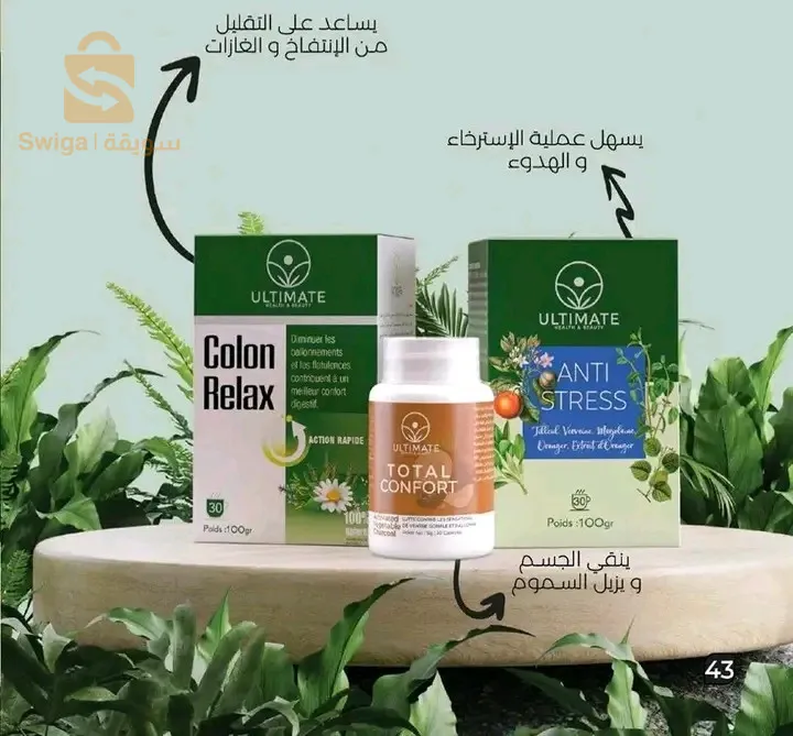 الجزائر