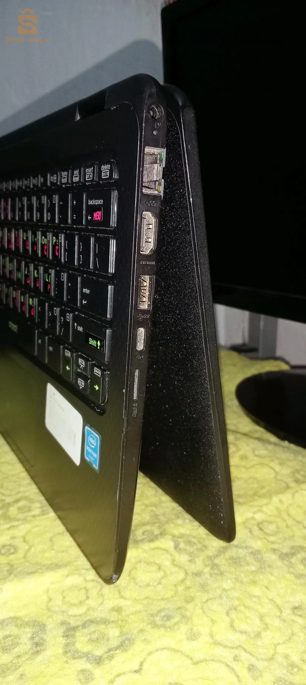 تلمسان منصورة