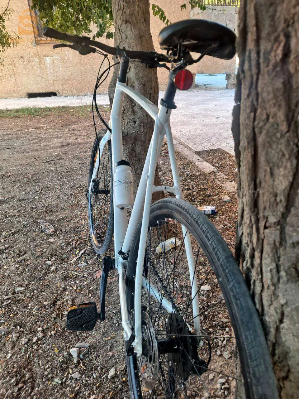 فيلو TREK 🇺🇲