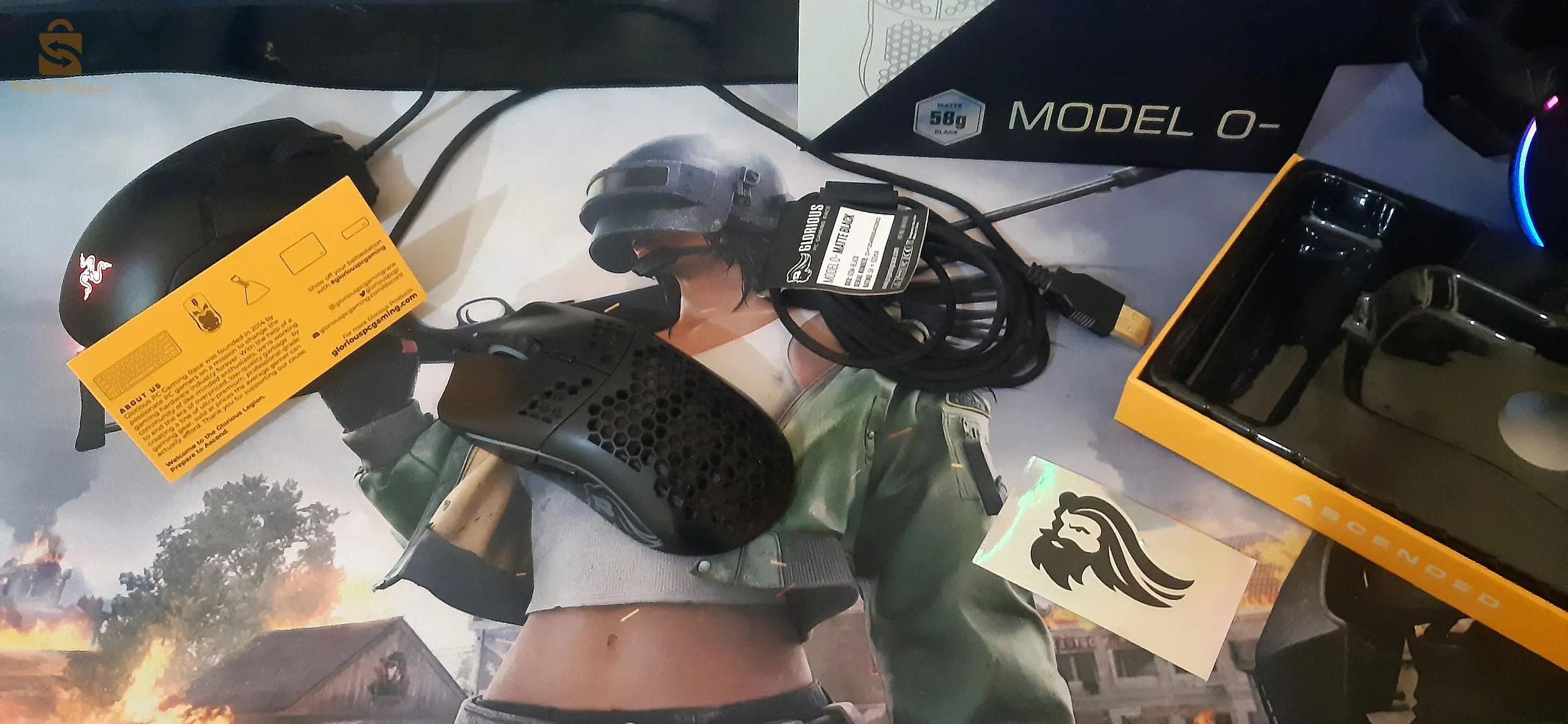 ولاية البيض