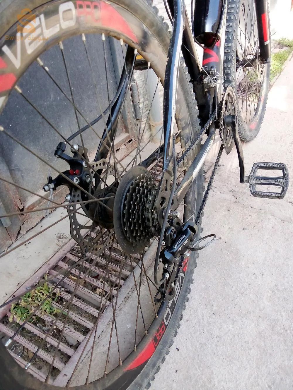 تلمسان حي اوجليدة