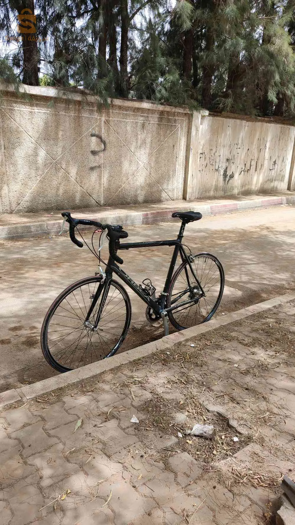 vélo cours ORBEA taille 55 56 L XL bon état fiha martial chimano Sora 9 vitesse vélo makhasha Walo lahi. arak