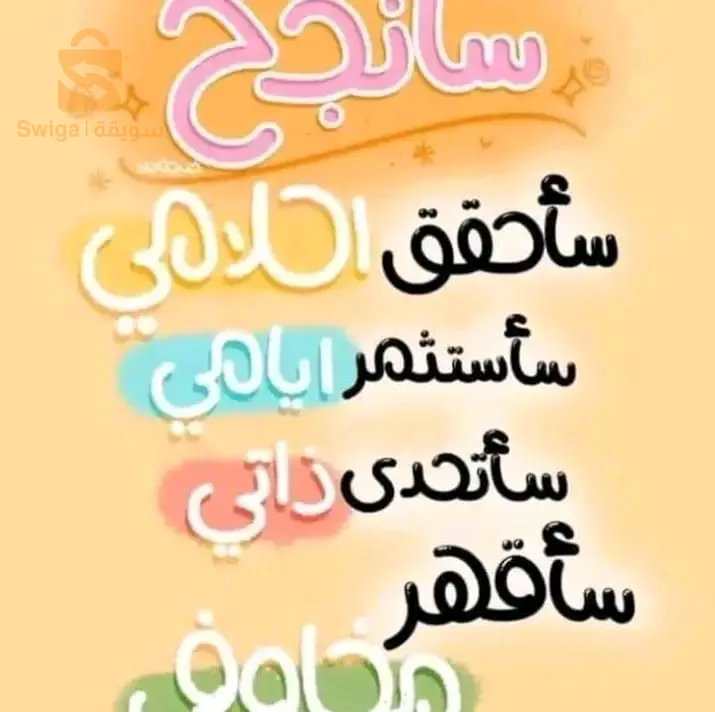 شركة نيو فيزيون انترناسيونال