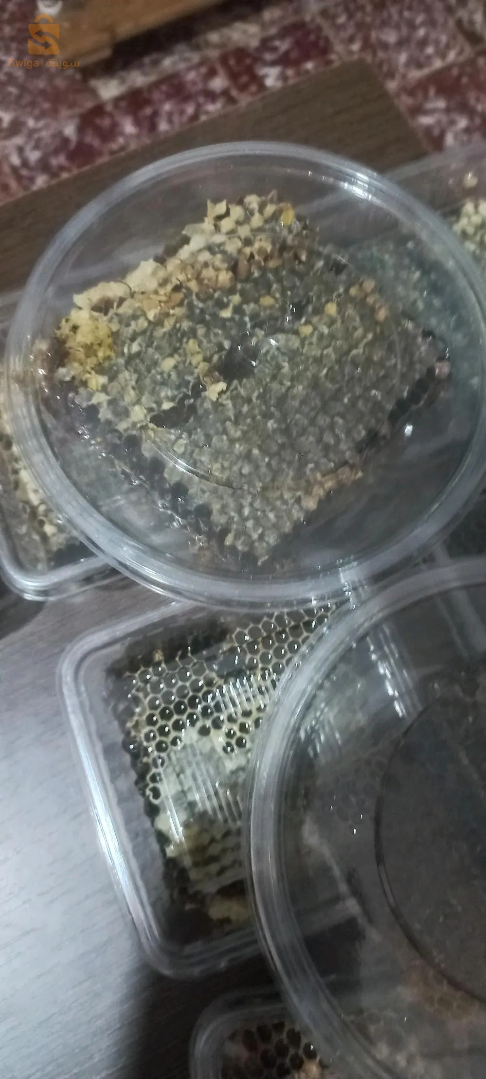 عين البرد