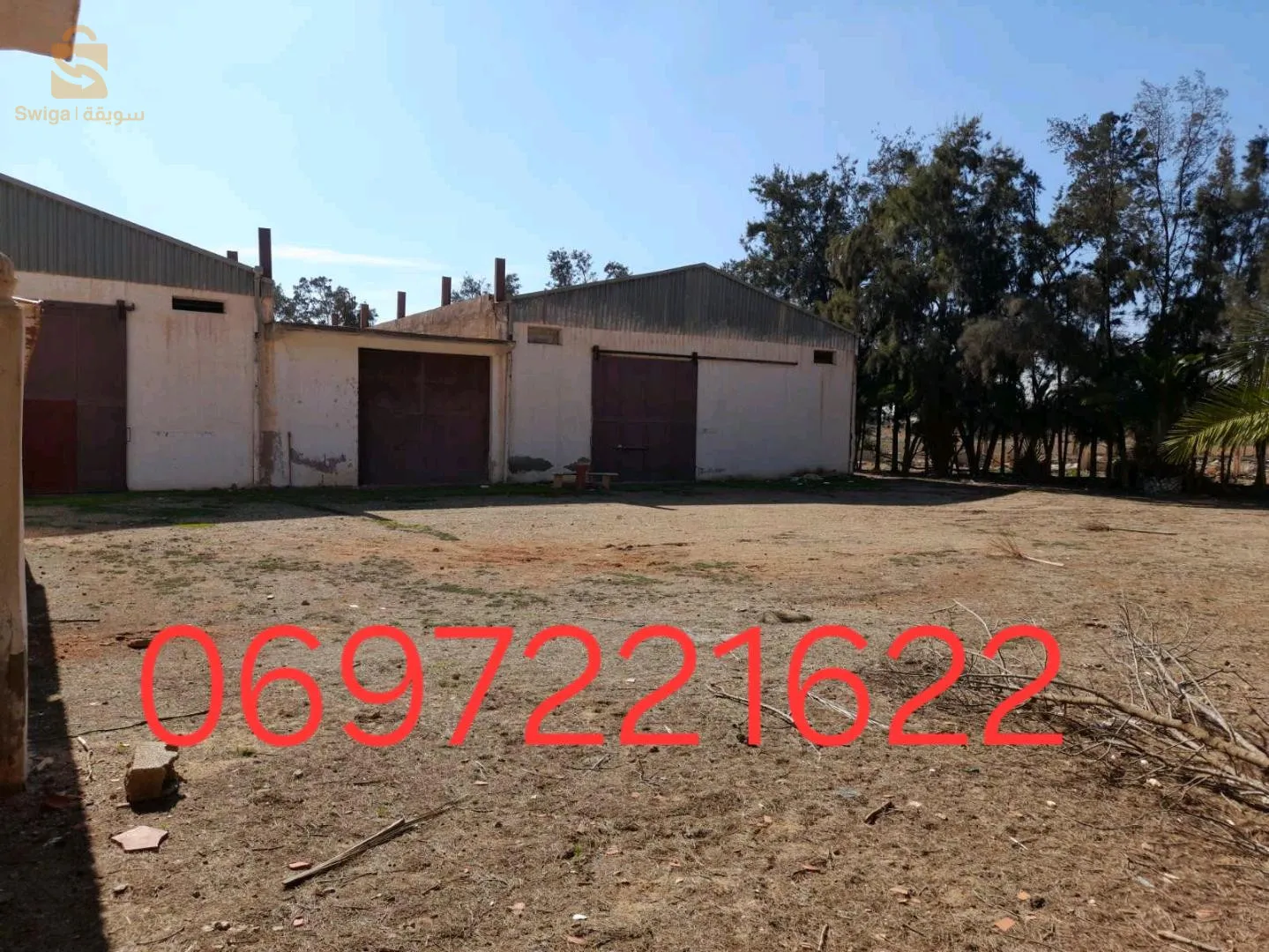 دوار الرواشد