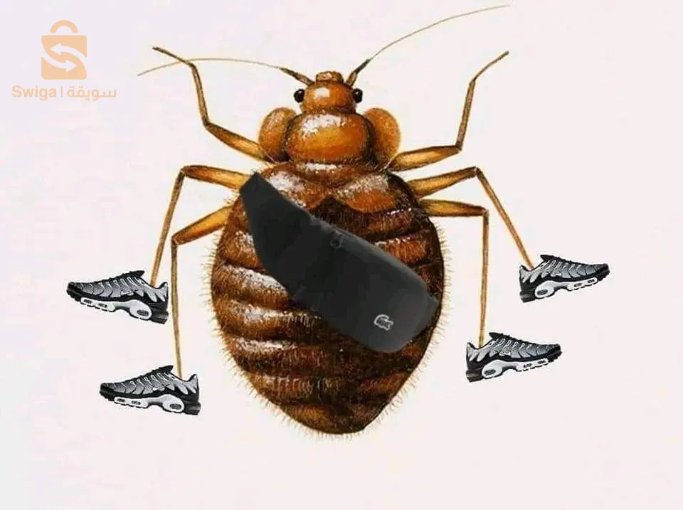 ايا لبتيخ في سبيل الله