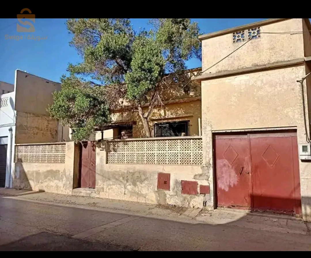 مستغانم بيموت