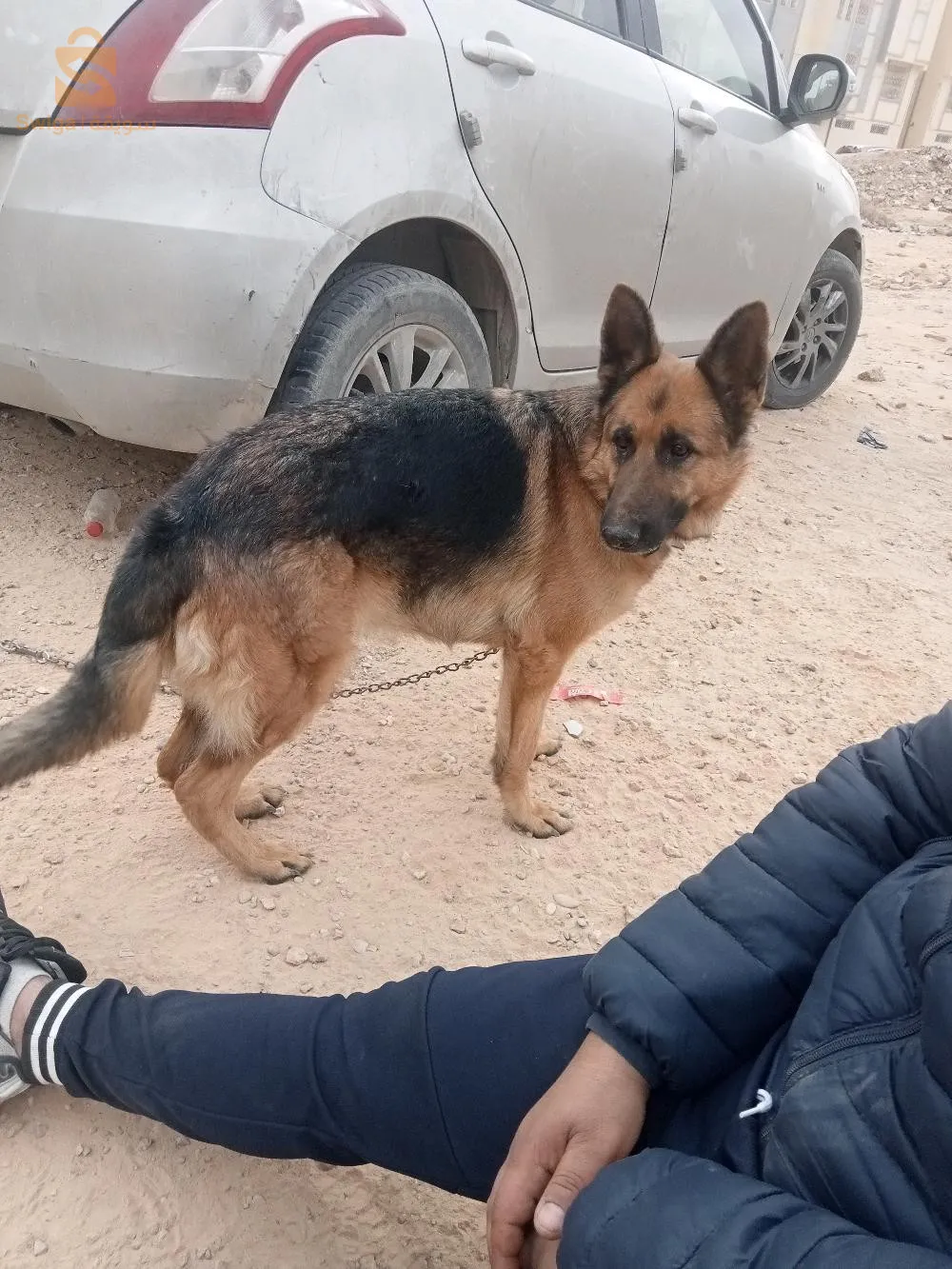 ولاية بسكرة0557247212