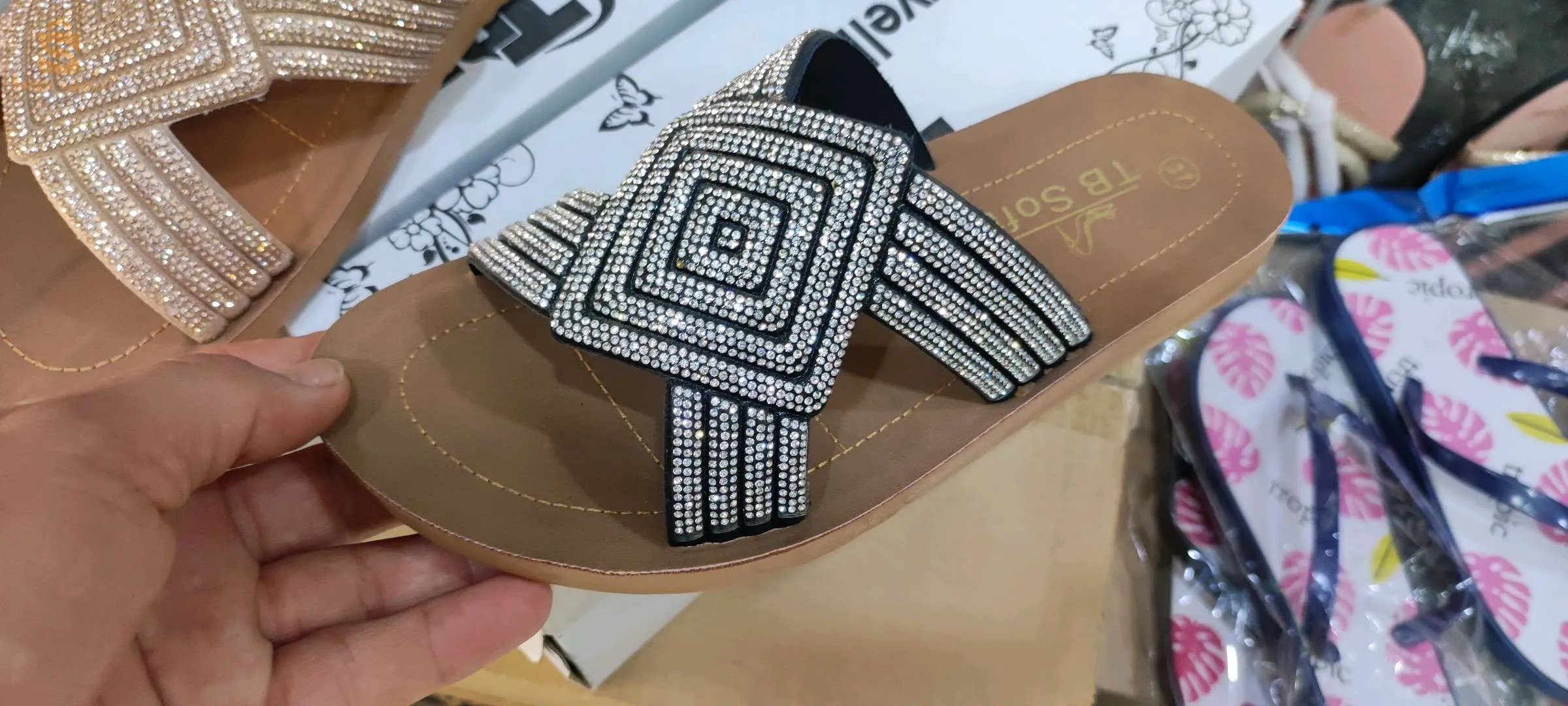 حي الكوشة
