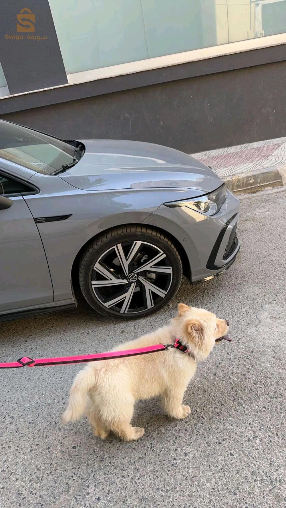 البليدة