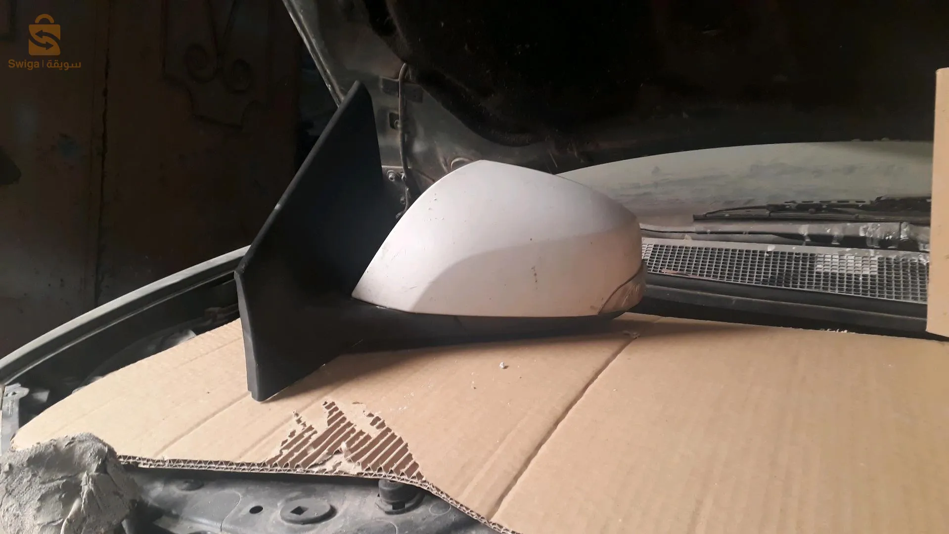 مرايات مختلفة لأنواع
