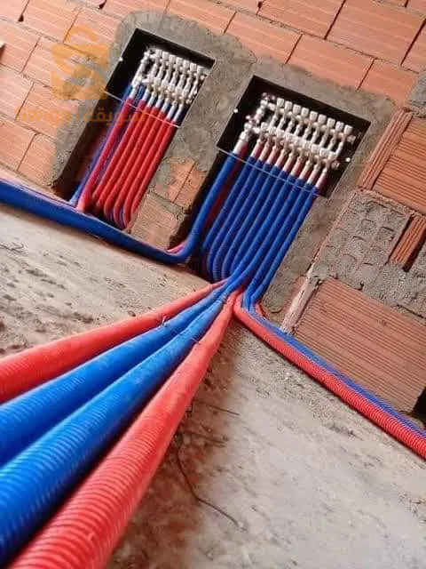 الجزائر