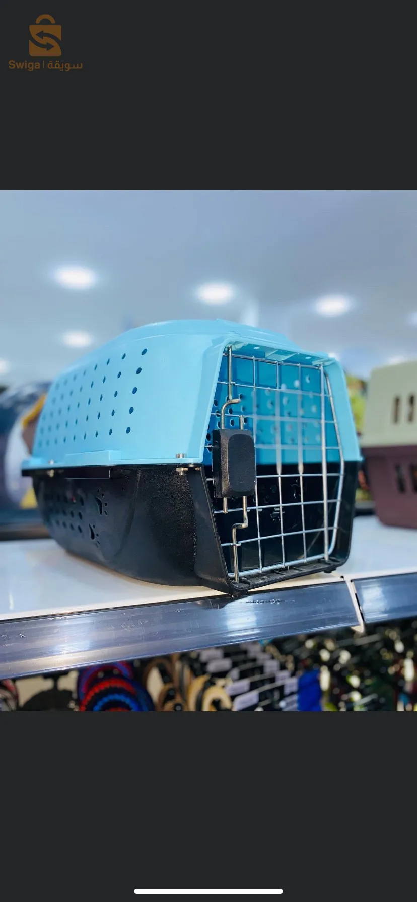 اكسسوارات القطط