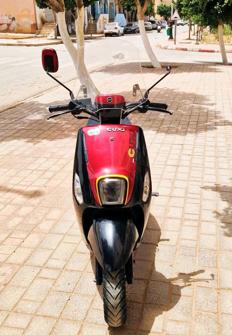 حي بن سونة الشلف