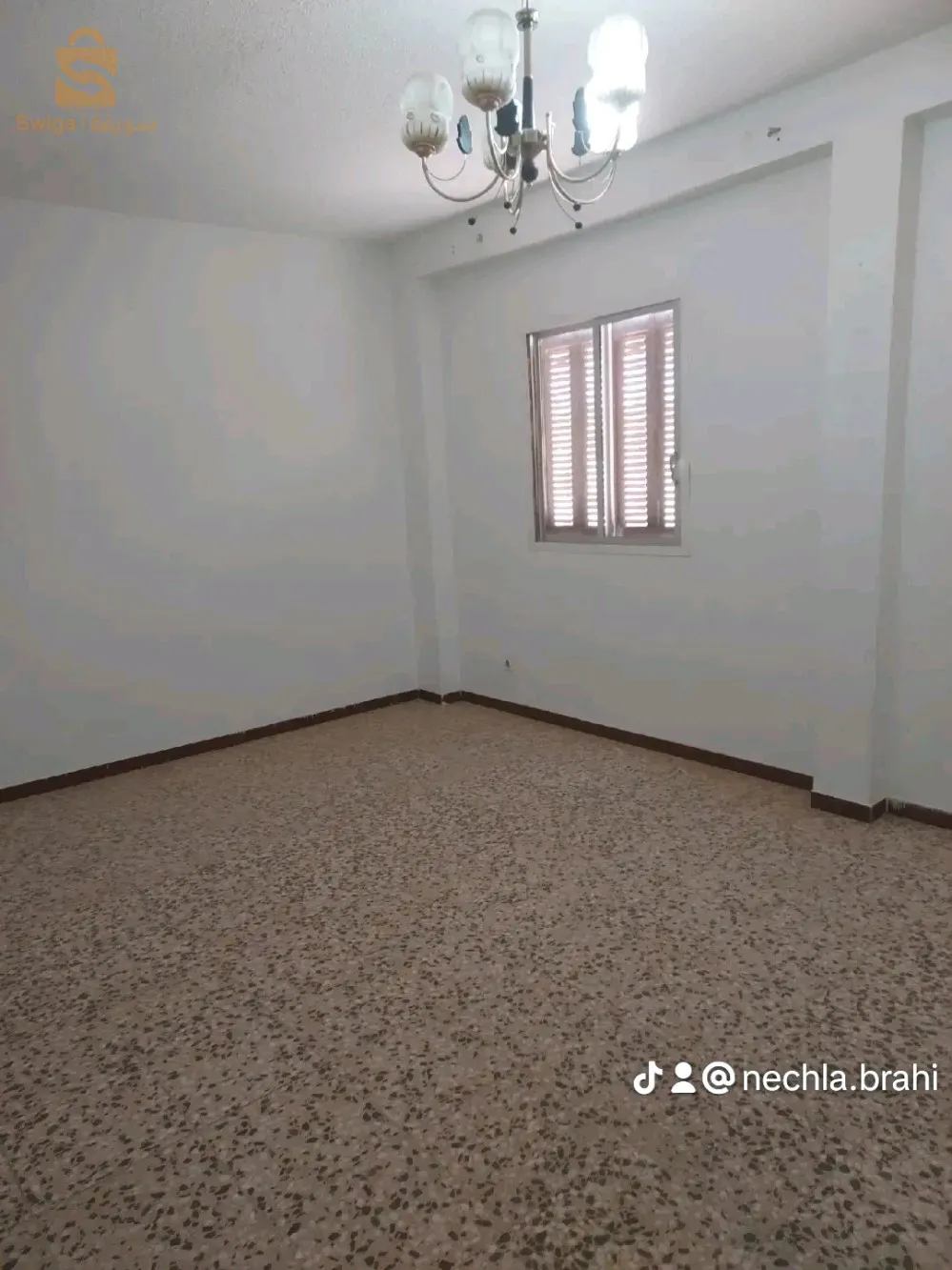 السبنيول