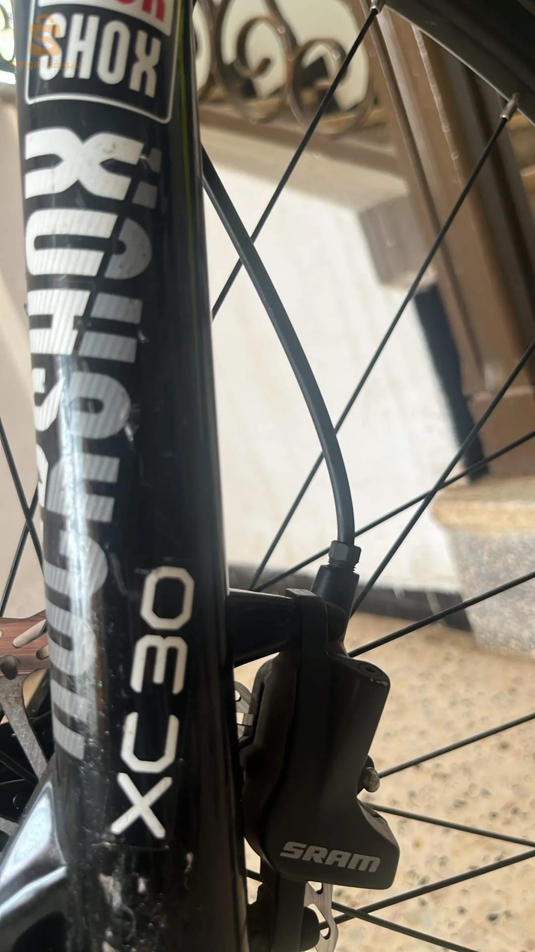 الكيفان تلمسان