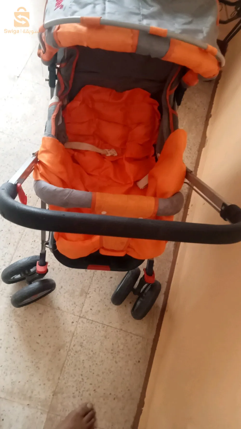 قصرالشلالة تيارت