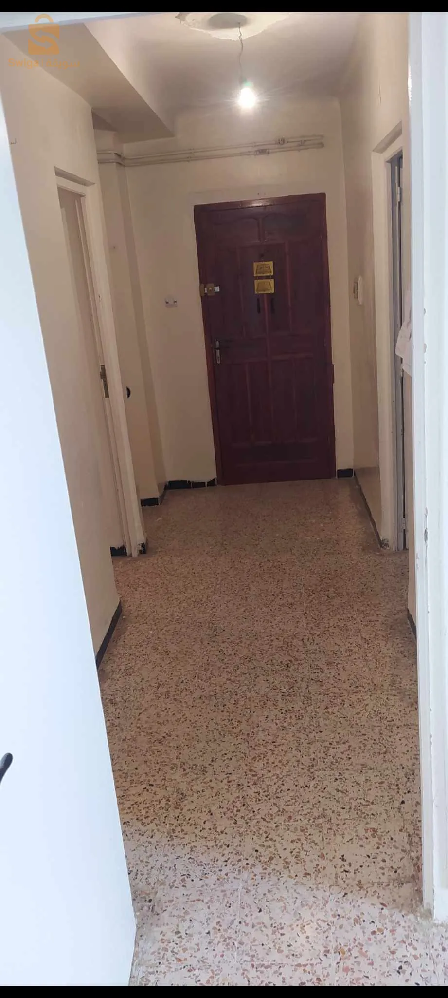 ماسينيسا - الخروب