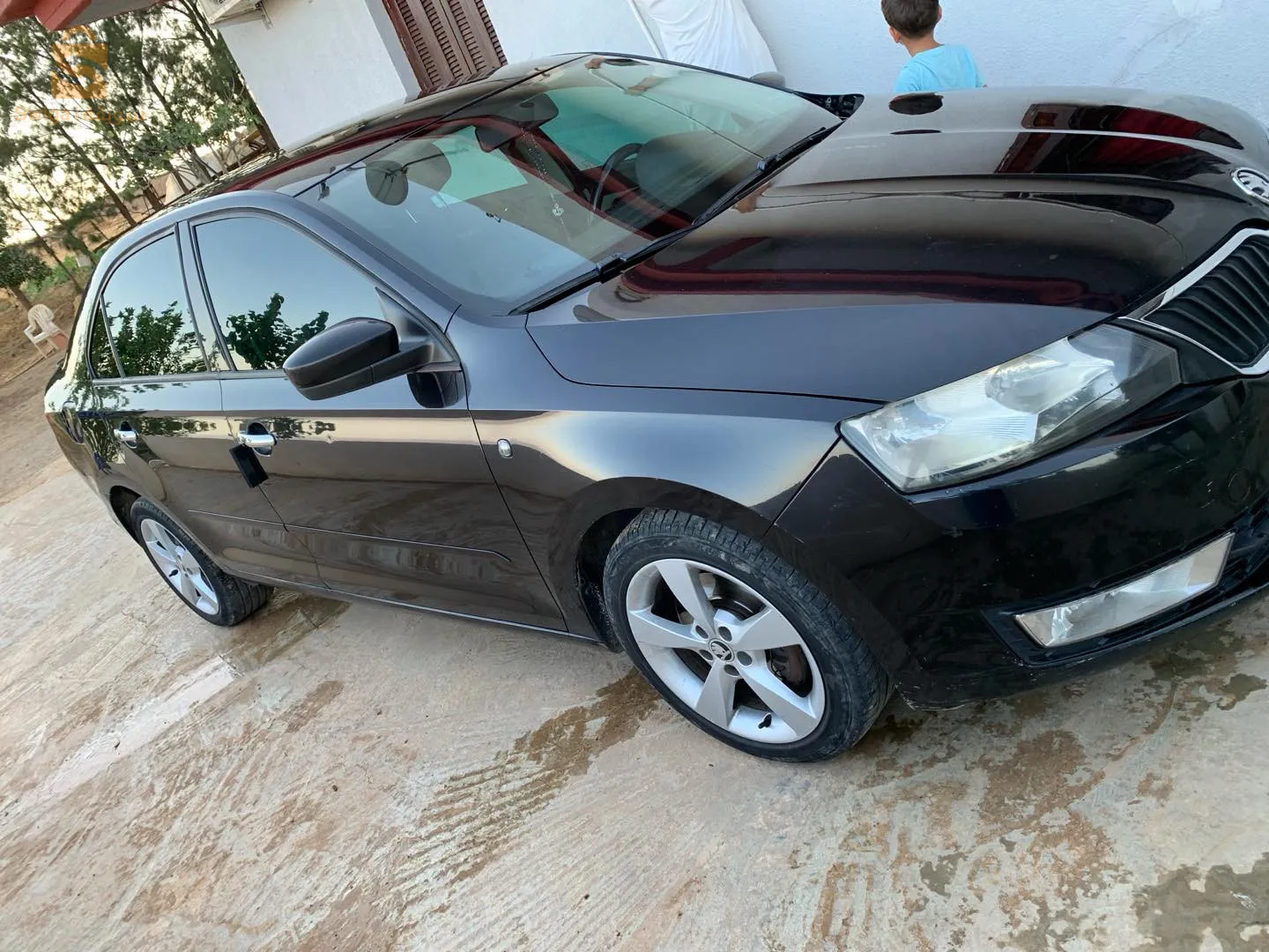 skoda rapid