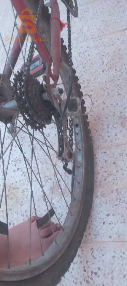 دراجة هوائية